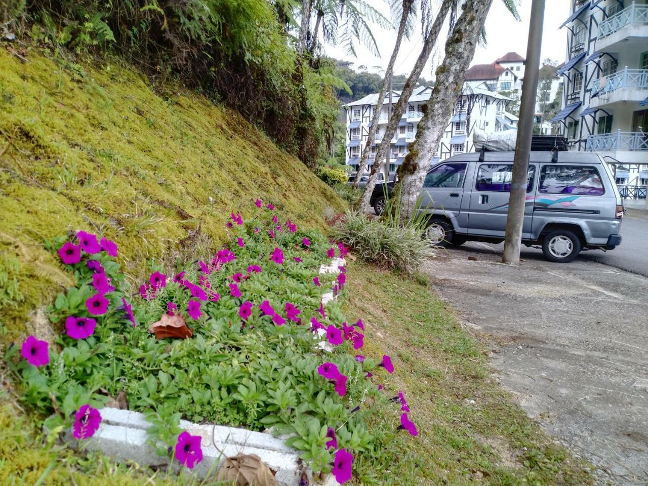 카메론하일랜즈 Desa Anthurium 아파트 외부 사진