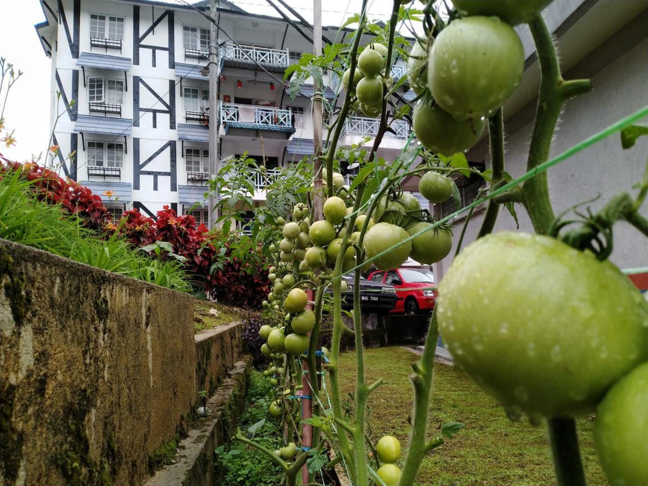 카메론하일랜즈 Desa Anthurium 아파트 외부 사진